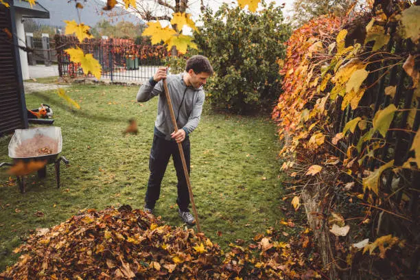 How To Clean A Backyard Lynn, MA