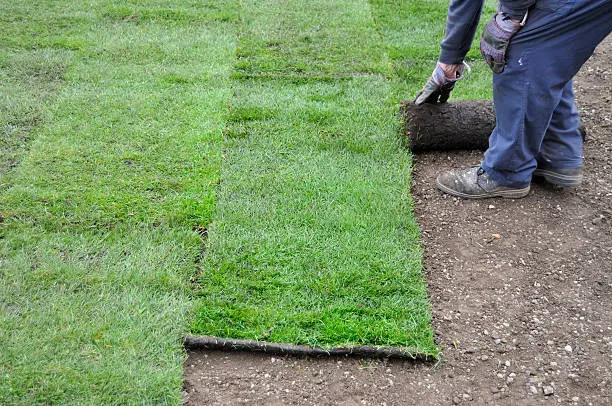 How long after installing sod can you walk on it in Lynn, MA