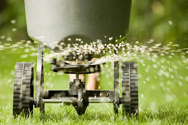 How often should you fertilize your lawn Lynn, MA