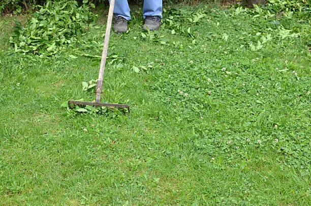 How to clear a yard full of weeds Lynn, MA