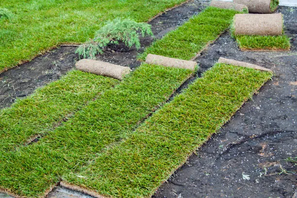 How to lay sod over existing lawn in Lynn, MA