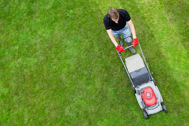 How to mow a lawn in Lynn, MA