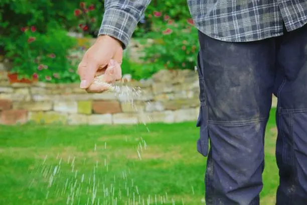 Lawn Fertilization Pompano Lynn, MA