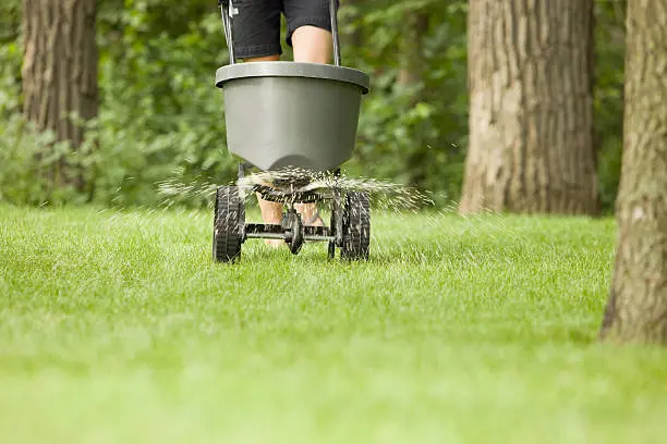 Lawn Fertilization in Lynn, MA