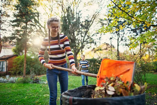 Reliable Yard Cleanup in Lynn, MA