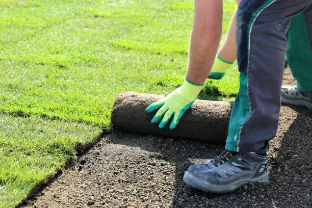 Sod Installation Lynn, MA