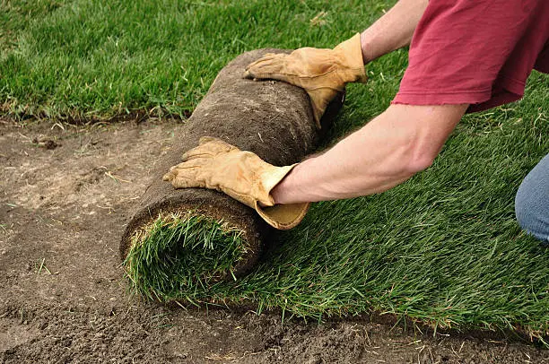 Sod Installation in Lynn, MA