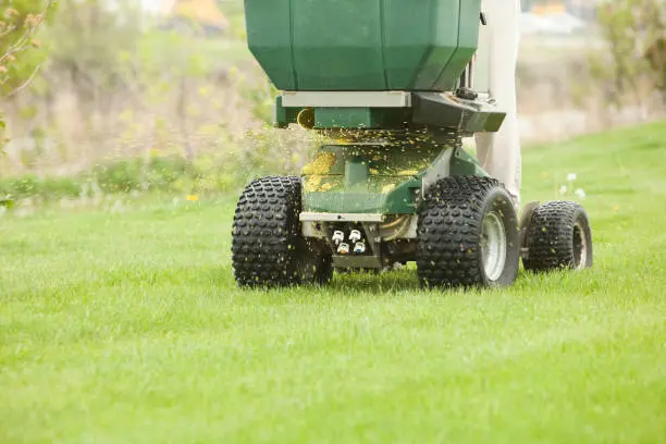 When is the best time to fertilize your lawn Lynn, MA