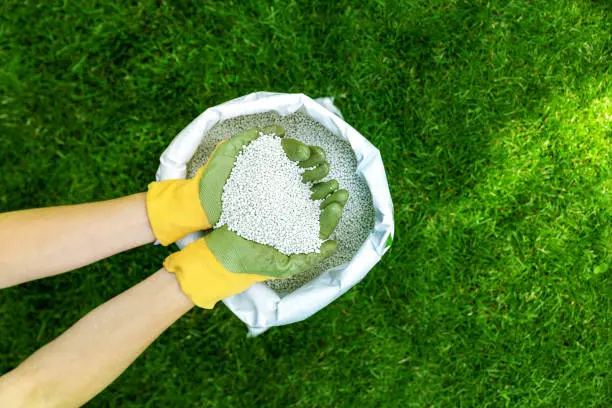 When is the best time to fertilize your lawn in Lynn, MA