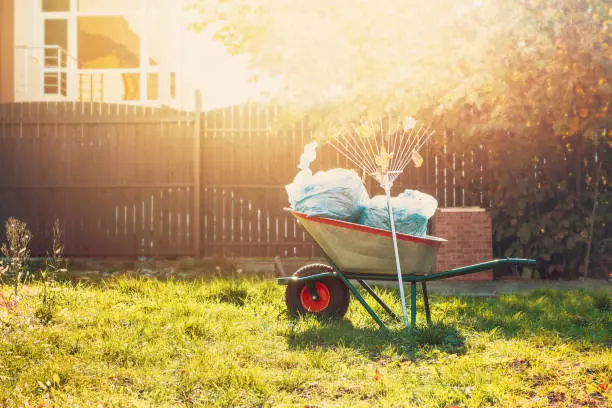 Yard Cleanup in Lynn, MA